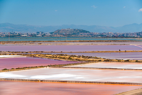 Cagliari: Conti Vecchi Salt Flats Train and Tour Cagliari: Conti Vecchi Salt Flats Train and Walking Tour
