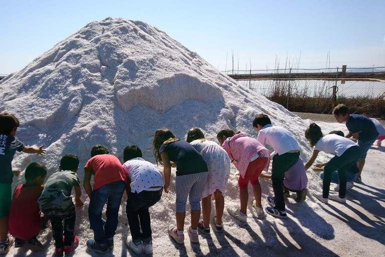 Cagliari: Conti Vecchi Salt Flats Train and Tour Cagliari: Conti Vecchi Salt Flats Train and Walking Tour