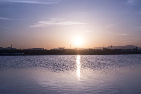 Cagliari: Conti Vecchi Salt Flats Train and Tour Cagliari: Conti Vecchi Salt Flats Train and Walking Tour
