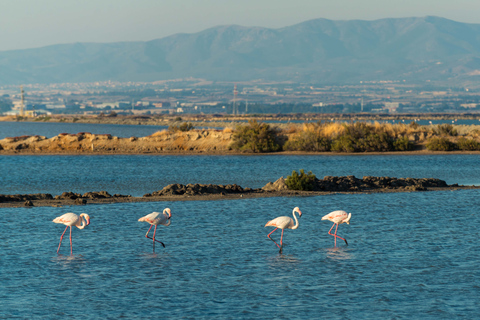 Cagliari: Conti Vecchi Salt Flats Train and Tour Cagliari: Conti Vecchi Salt Flats Train and Walking Tour