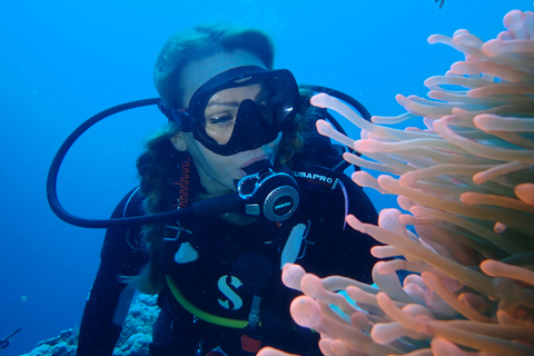 Tenerife: experiencia de clase privada de buceo en Costa Adeje