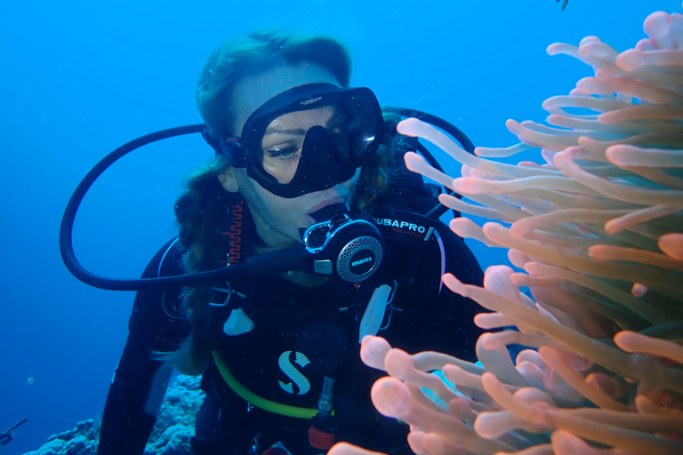 Tenerife: experiencia de clase privada de buceo en Costa Adeje