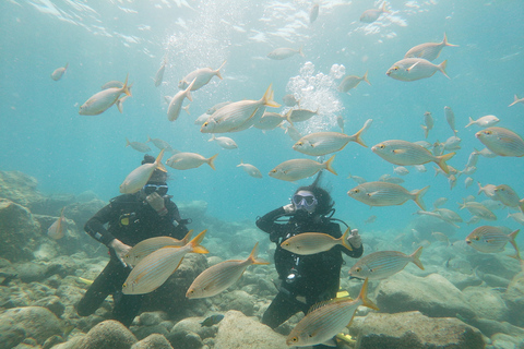 Tenerife: Experiência de aula particular de mergulho na Costa Adeje