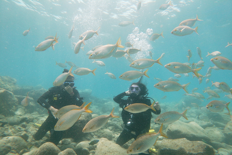 Tenerife: Costa Adeje Private Diving Lesson Experience