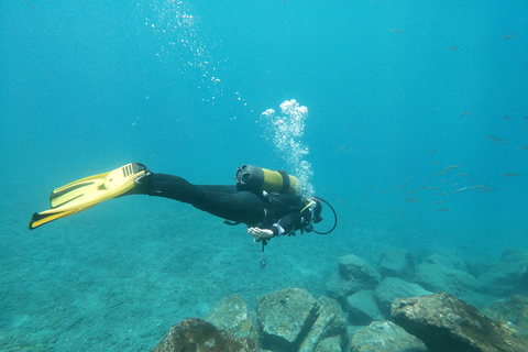 Tenerife: experiencia de clase privada de buceo en Costa Adeje