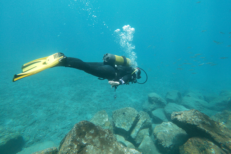 Tenerife: experiencia de clase privada de buceo en Costa Adeje