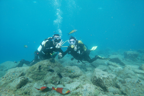 Tenerife: Experiência de aula particular de mergulho na Costa Adeje