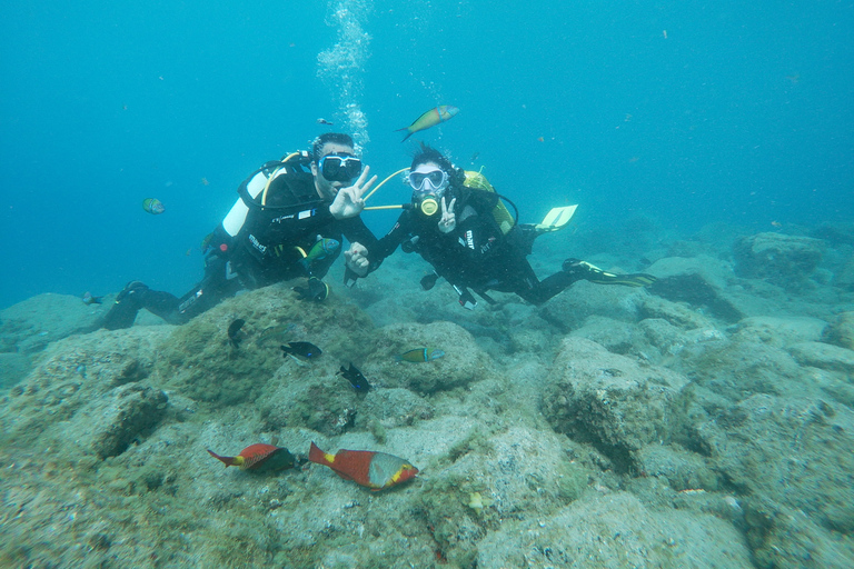 Tenerife: experiencia de clase privada de buceo en Costa Adeje