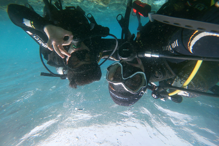 Tenerife: experiencia de clase privada de buceo en Costa Adeje