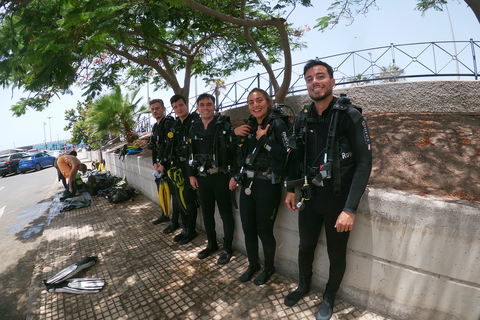 Tenerife: experiencia de clase privada de buceo en Costa Adeje