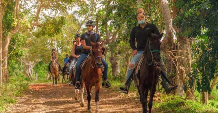 Carabalí Rainforest Park Horseback Riding Tour GetYourGuide