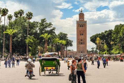 Von Casablanca aus: Tagesausflug nach Marrakech mit KamelrittPrivate Tour