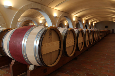 Bordeaux: St. Emilion wijn- en e-biketour met lunch