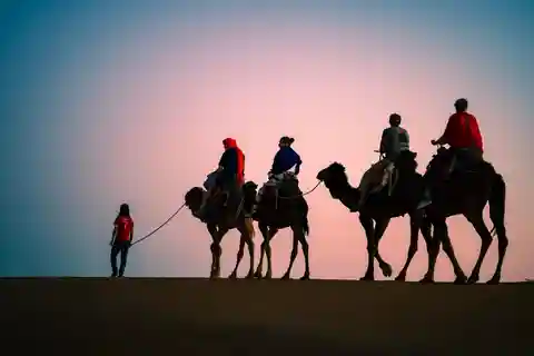 Desde Fez: Excursión de 3 días al Desierto del Sáhara de Merzouga y Marrakech