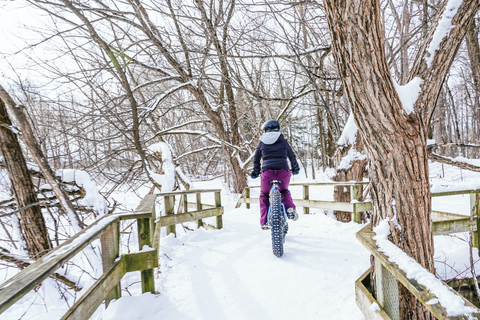 Quebec City: 1 till 4 timmars uthyrning av elektrisk fettcykel (18+)Quebec City: 1 till 4 timmars hyra av elektrisk Fat Bike (18+)