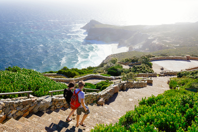 From Cape Town: Cape Point and Boulders Beach Full-Day Tour Tour Excluding Cape Point Park Fee