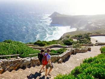 Cape Point & Boulders by double-decker bus