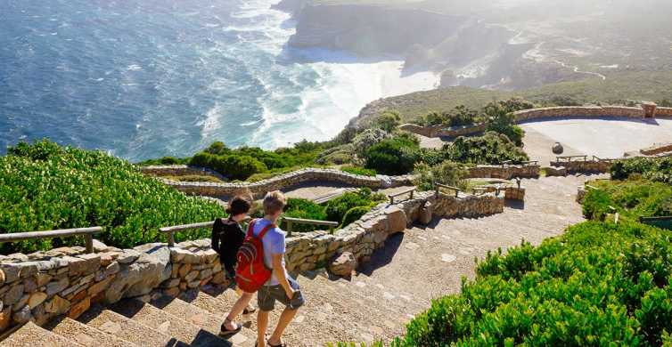 De la Cape Town: Cape Point și Boulders Beach - excursie de o zi întreagă