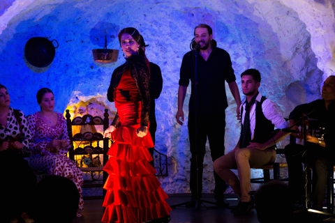 Granada: Espectáculo en el Templo del FlamencoGranada: Templo del Flamenco 20:00 Espectáculo con bebida
