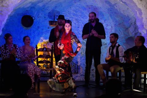 Granada: Flamenco Show at Templo del Flamenco with Drink