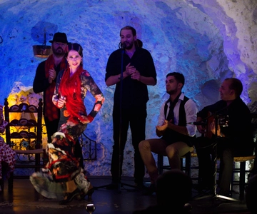 Granada: Flamenco Show at Templo del Flamenco with Drink