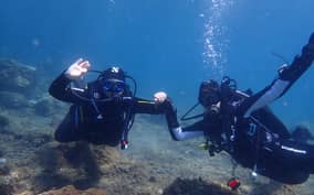 - Canarie.it