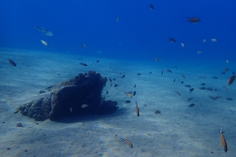 Puerto del Carmen: excursion de plongée sous-marine pour débutants