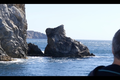 Desde Rosas: tour en catamarán a por Cadaqués y la costa catalanaSalida desde Roses