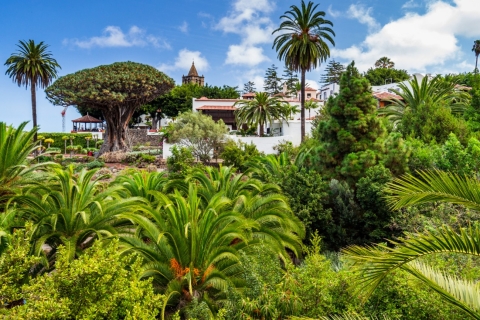 Tenerife: visite privée d'une journée de l'île avec prise en charge à l'hôtel