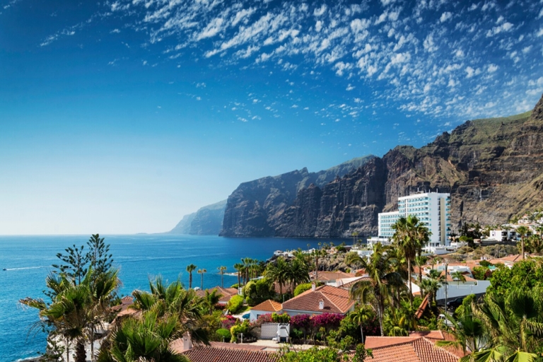 Tenerife: visite privée d'une journée de l'île avec prise en charge à l'hôtel