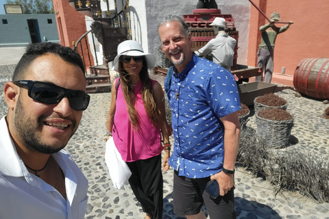 Santorini: Island Highlights Private Tour with Transfer