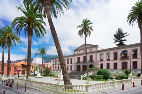 Tenerife: tour privado de un día por la isla con recogida en el hotel
