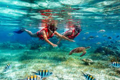 Puerto Morelos: Schnorcheln im Nationalpark & Mittagessen am Strand