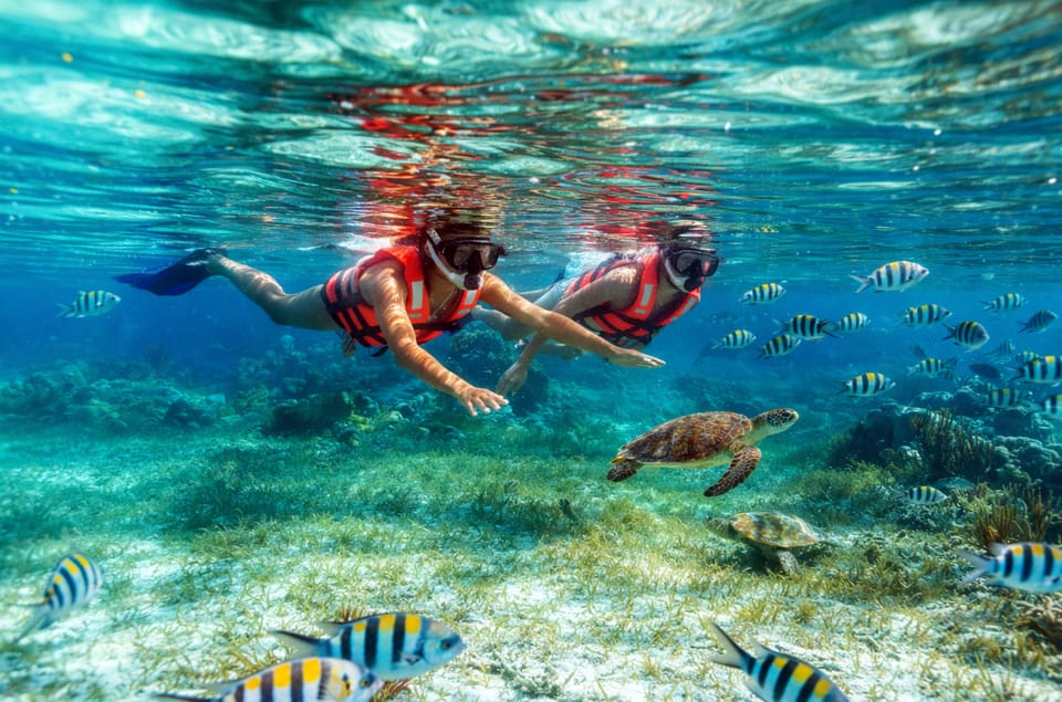 Puerto Morelos: National Reef Park Snorkeling & Beach Lunch, Cancun