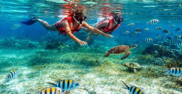 A snorkeller floating above coral formations and small tropical fish in clear Caribbean water