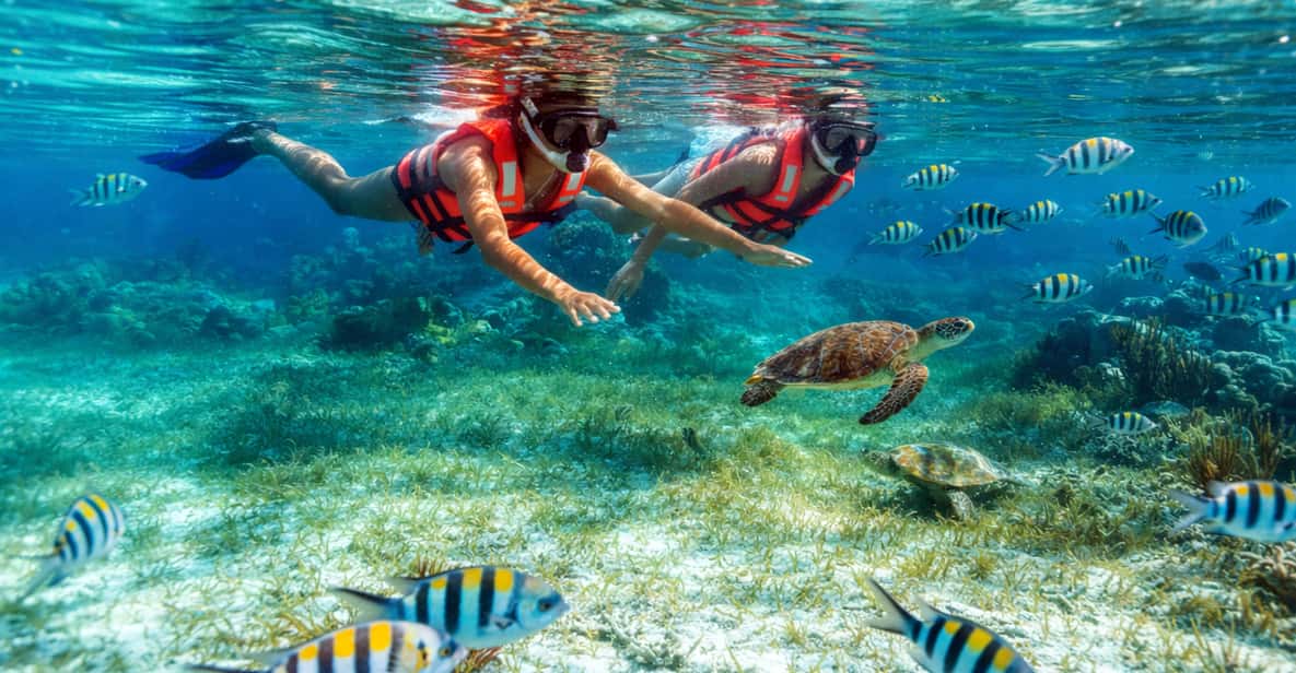 Puerto Morelos: National Reef Park Snorkeling & Beach Lunch — a boat tour from Cancun, Mexico