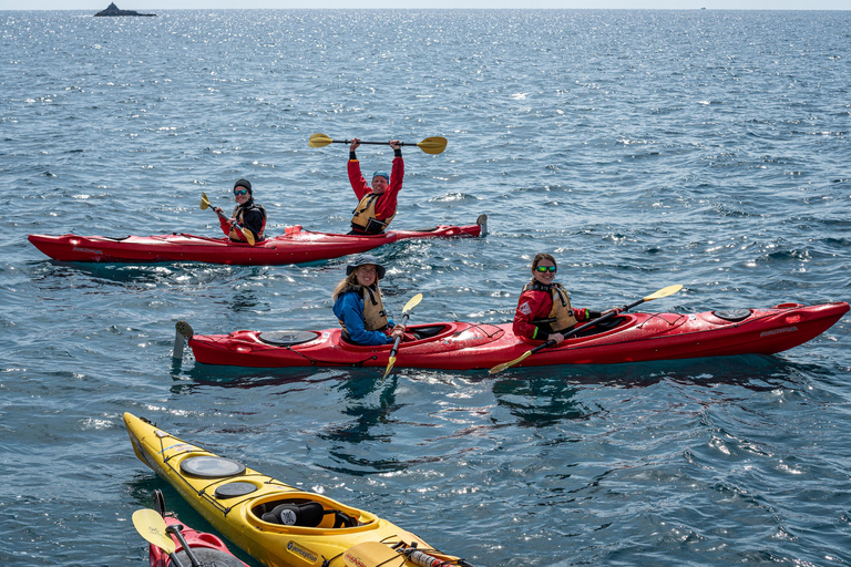 Santorini: kayak de mar y snorkel con almuerzo