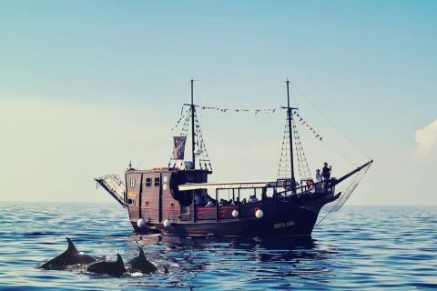 Врсар: прогулка на лодке с наблюдением за дельфинами