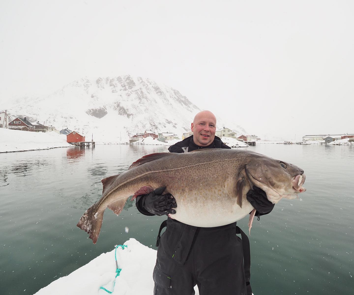 From Honningsvåg: North Cape Private Fishing Boat Trip
