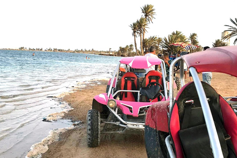 DJERBA: Geniet van 1,5 uur in een buggy en bezoek het flamingo-eilandDJERBA: geniet van 1,5 uur buggy en bezoek het flamingo-eiland
