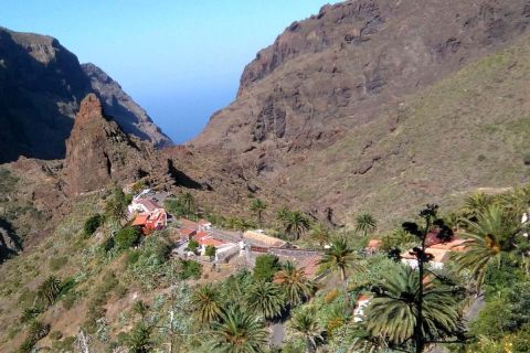 From Callao Salvaje: Private Tenerife Tour with Vilaflor