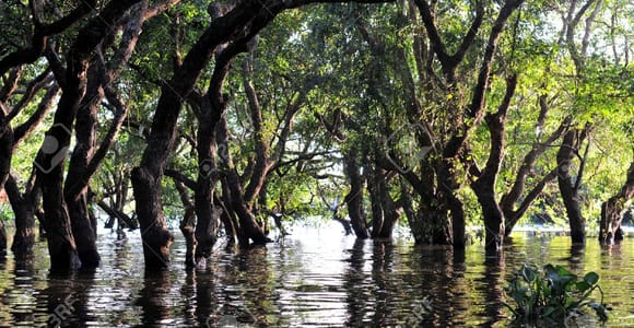 Siem Reap/Battambang Cruise Guided tour one way