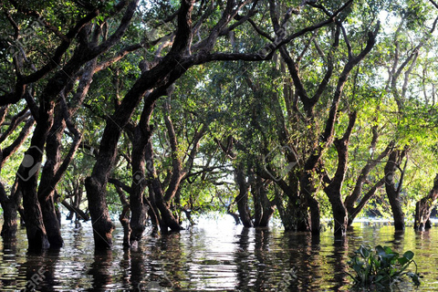 Siem Reap/Battambang Cruise Guided tour one way