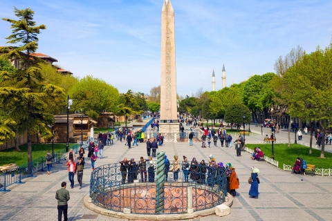 Istanbul Classics and Highlights: Journée complète avec déjeunerIstanbul: visite à pied des sites classiques avec déjeuner