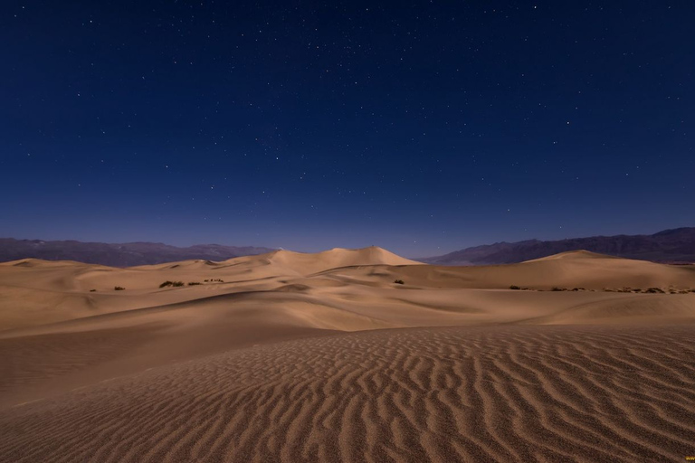 Doha: Safari nocturno por el desierto por mar, mar interior y paseo en camelloOpción Estándar