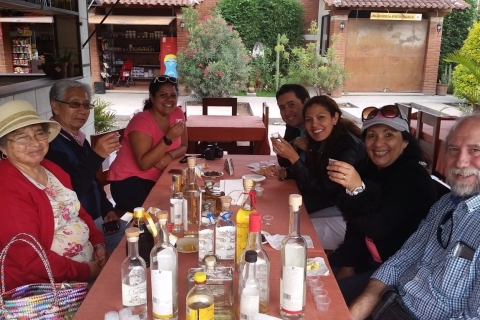 Oaxaca: El Tule, Mitla, und Hierve el Agua Tour mit Transfer