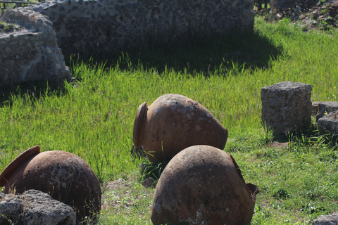 Pompeii: History and Culture Slow Tour