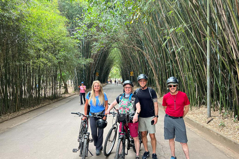 São Paulo: Street Art Bike Tour