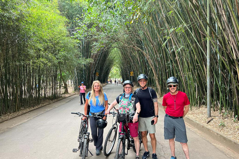 São Paulo: cykeltur med gatukonst