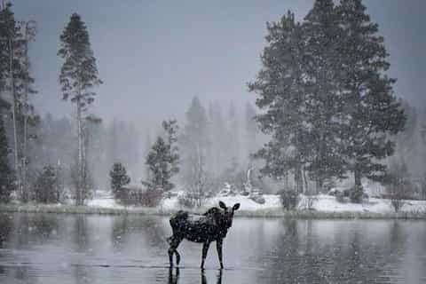 2026年ロッキー山脈（アメリカ）人気の自然＆アドベンチャー体験